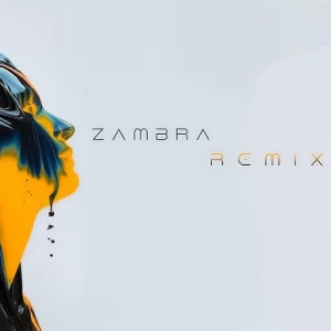 ARTBAT & Camelphat - For A Feeling (ZAMBRA REMIX)