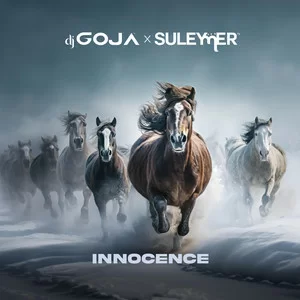 DJ Goja & Suleymer - Innocence