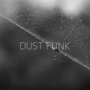 Dust funk - DADA