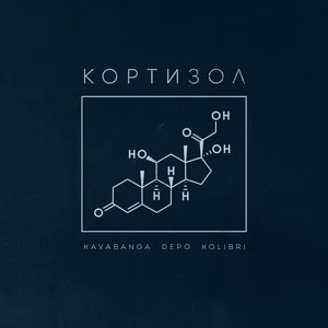 kavabanga Depo kolibri - Кортизол