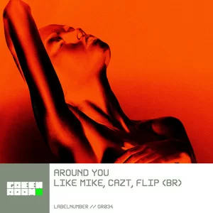 Like Mike & Cazt & Flip (BR) - Around You