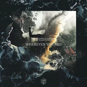 Martin Garrix & DubVision feat. Shaun Farrugia - Wherever You Are