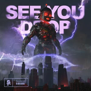 Ray Volpe - SEE YOU DROP