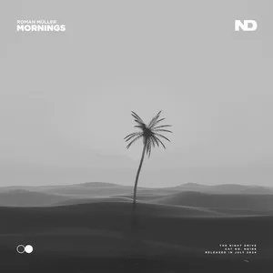 Roman Müller - Mornings