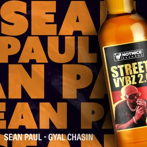 Sean Paul - Gyal Chasin