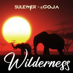 Suleymer & Dj Goja - Wilderness