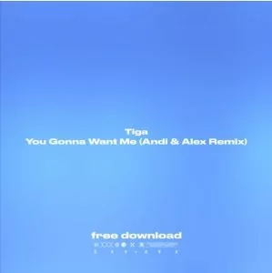 Tiga - You Gonna Want Me (Andi & Alex Remix)