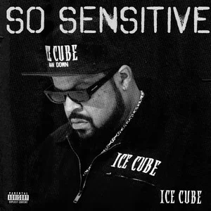 Ice Cube - So Sensitive