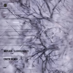 Mefjus - Surrounded (Calyx Remix)