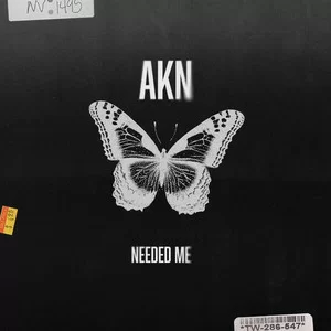 AKN - Needed Me