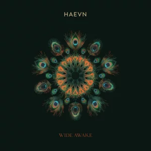 HAEVN & Lily Meola - Till the Morning